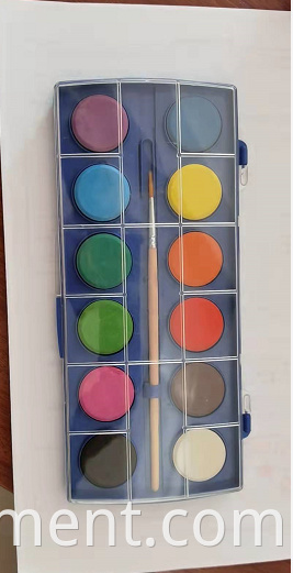 12 Color Pigment